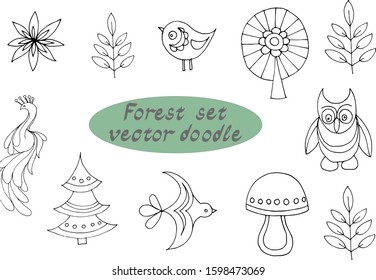 forest set doodle vector tree christmas tree owl bird mushrooms set leaves flowers twigs children pictures coloring line contour