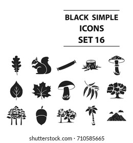 Forest set icons in black style. Big collection forest vector symbol stock illustration