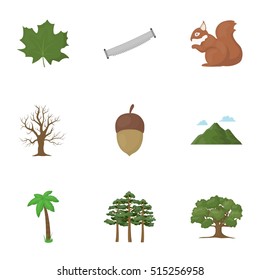 Forest set icons in cartoon style. Big collection of forest vector symbol stock illustration