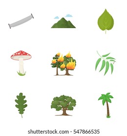 Forest set icons in cartoon style. Big collection of forest vector symbol stock illustration