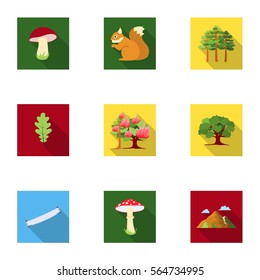 Forest set icons in flat style. Big collection of forest vector symbol stock illustration
