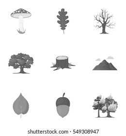 Forest set icons in monochrome style. Big collection of forest vector symbol stock illustration