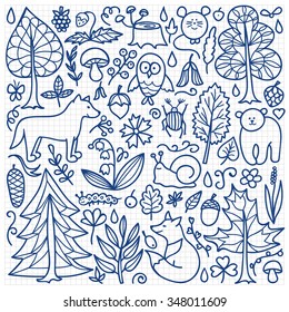 Forest set on squared paper. Vector illustration with doodle forest animals and plants