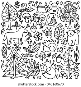 Forest set. Vector illustration of doodle forest animals and plants