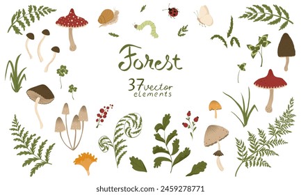 Forest set of vector isolated elements. Collection of autumn mushrooms with fern leaves, berries, grass, insects. Fall mushrooms for sticker, logo, print. White background.