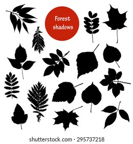 Forest shadows. Collection of leaves, leaf silhouettes.