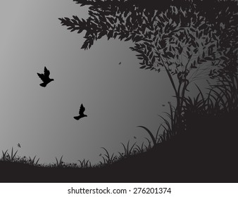 forest silhouette, birds shadows, black and white, forest life 