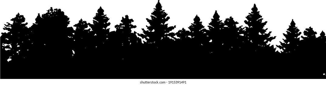 Forest silhouette, different trees. Graphic element, vector EPS 10. Illustration, commercial use.