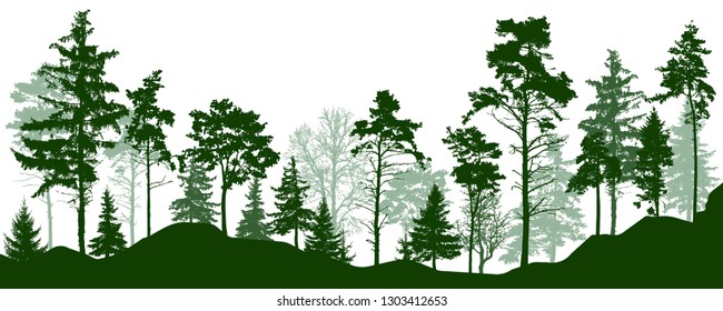 Forest silhouette green trees. Coniferous evergreen forest, park. Vector illustration