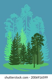 Forest Silhouette. Landscape with coniferous trees. Beautiful view. Pine and spruce trees. Summer natural scene. Illustration vector