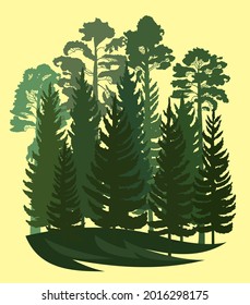 Forest Silhouette. Landscape with coniferous trees. Beautiful view. Pine and spruce trees. Summer natural scene. Illustration vector