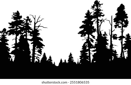 Forest, forest silhouette -  Long tree line forest, tress silhouette