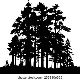 Forest, forest silhouette -  Long tree line forest, tress silhouette