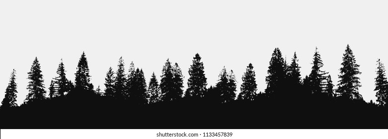 forest silhouette on white background.View to panorama of realistic trees.Vector nature design