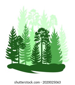 Forest silhouette scene. Landscape with coniferous trees. Beautiful green view. Pine and spruce trees. Summer nature. Isolated illustration vector