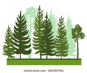 Forest silhouette scene. Landscape with coniferous trees. Beautiful view. Pine and spruce trees. Summer nature. Isolated illustration vector.