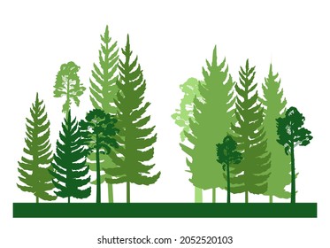 Forest silhouette scene. Landscape with coniferous trees. Beautiful green view. Pine and spruce trees. Summer nature. Isolated illustration vector.