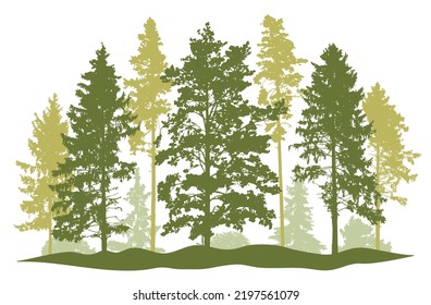 Forest, silhouette of spruce trees, pines, bushes. Beautiful nature, woodland. Vector illustration