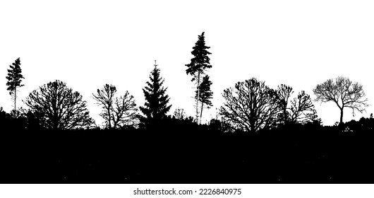 Forest silhouette . Tree silhouette panorama. Vector illustration