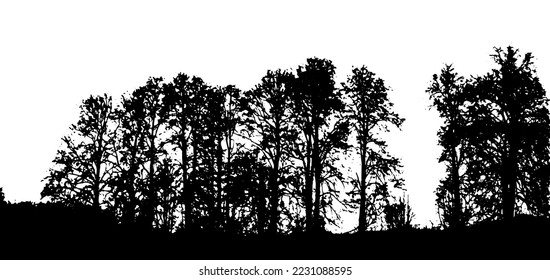 Forest silhouette . Tree silhouette panorama. Vector illustration