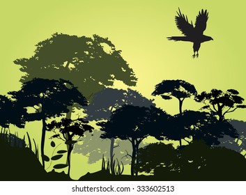 Forest silhouette, tree silhouettes on evening background, birds silhouette