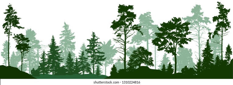 Forest silhouette trees. Evergreen coniferous forest with pines, fir trees,  christmas tree, cedar, Scotch fir. Vector illustration. (Every tree isolated, separate from each other, free-standing)