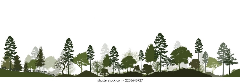 Silhouette forestal. Ilustración vectorial de cada árbol aislado. Vista lateral del bosque evergreen con sombra verde, para un diseño de borde, arquitectura y paisaje sin fisuras. 