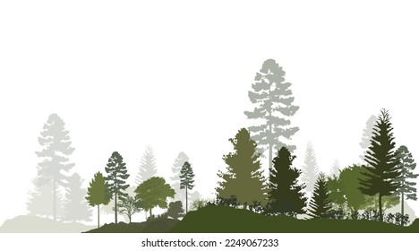 Forest silhouette trees. Vector illustration of every tree isolated. Evergreen forest side view green shadow, for seamless border, architecture and landscape design drawing. 