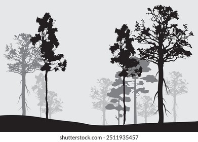 Forest silhouette trees. Vector illustration.