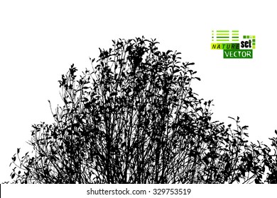 forest silhouette. Vector