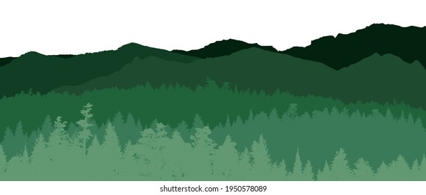 Forest silhouette, vector illustration. People camping, adventure and travel concept, beautiful forest, mountain and sky, double exposure, vector illustration.