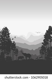 Forest silhouettes vector background, Natural vector illustration.