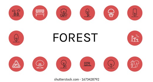 forest simple icons set. Contains such icons as Forest, Bench, Tree, Hill, Camping, Squirrel, Plant tree, can be used for web, mobile and logo