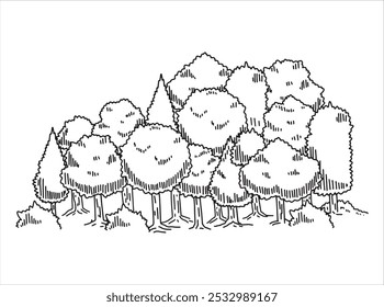 Forest sketch. Drawing pine landscape. Doodle drawn tree. Nature park or garden element. Natural outline plant
