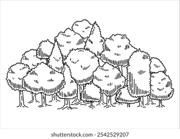 Forest sketch. Drawing pine landscape. Natural outline plant. Nature park or garden element. Doodle drawn tree