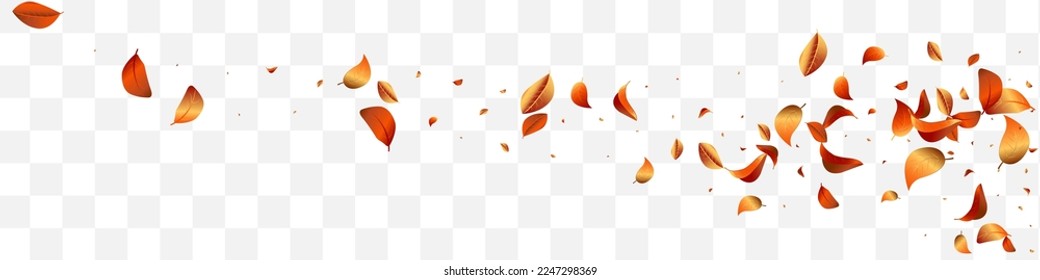 Forest Solar Fresh Vector White Transparent Panoramic Background Illustration. Falling Leaves Concept. Yellow Leaf Swirl Template. Foliage Transparent Design.