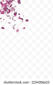 Forest Solar Herbal Vector White Transparent Background Illustration. Transparent Foliage Branch. Violaceous Leaves Spring Border. Leaf Abstract Brochure.