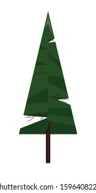 Forest spruce. single icon in flat style. Vector symbol stock illustration.