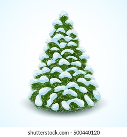 Forest Spruce in Snow Isolated on White Background. Vector illustration. 