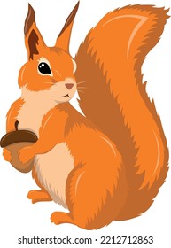 Forest squirrel with nuts, vector illustration.