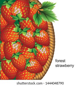 forest strawberries in the basket. large red berries. vector illustration. EPS 10.