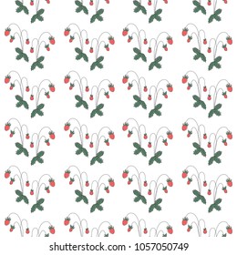 Forest strawberries seamless pattern. Strawberries on white background. Color vector illustration for your design.