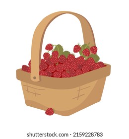 Forest strawberries wicker basket. Vector clipart.