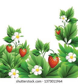forest strawberry with red berries, white flower, green leaves. vector illustration. EPS 10.