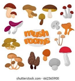 Forest summer and autumn cartoon edible mushrooms vector set. Mushroom food illustration collection