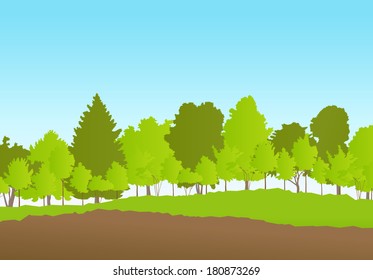 Forest in summer vector background landscape
