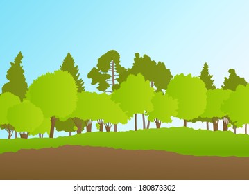 Forest in summer vector background landscape