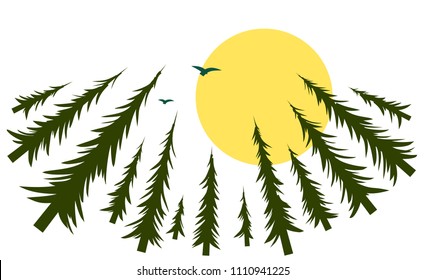 Forest with sun and birds.
