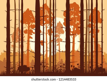 Forest, sunset, mountains, silhouettes of pine trees, firs, panorama, horizon, vector, illustration, isolated