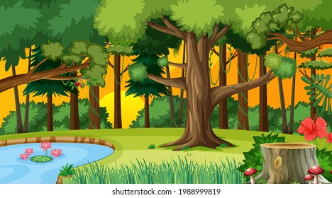 Forest at sunset time landscape scene illustration